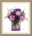 Walker Florist & Gift Shop, 409 Burkesville St, Columbia, KY 42728, (270)_384-2411